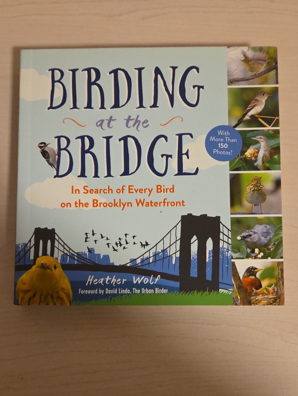Birding at the Bridge by Heather Wolf